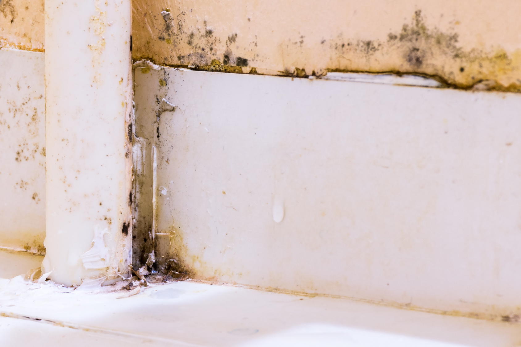 Leaking Bathroom